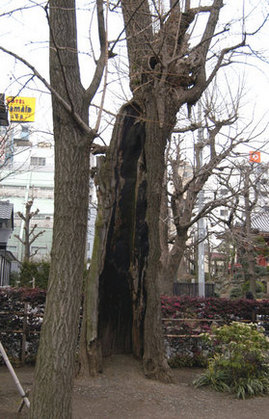 sensoji-ityo1.jpgのサムネール画像のサムネール画像